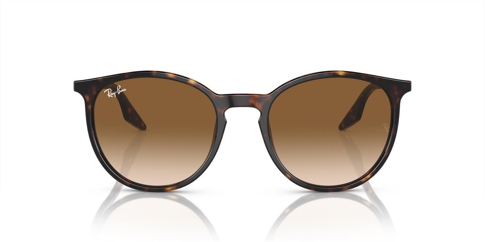 Ray-Ban RB2204 902/51 54