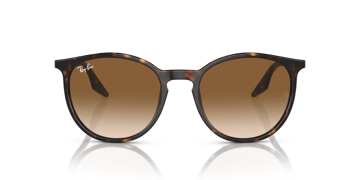 Ray-Ban RB2204 902/51 54