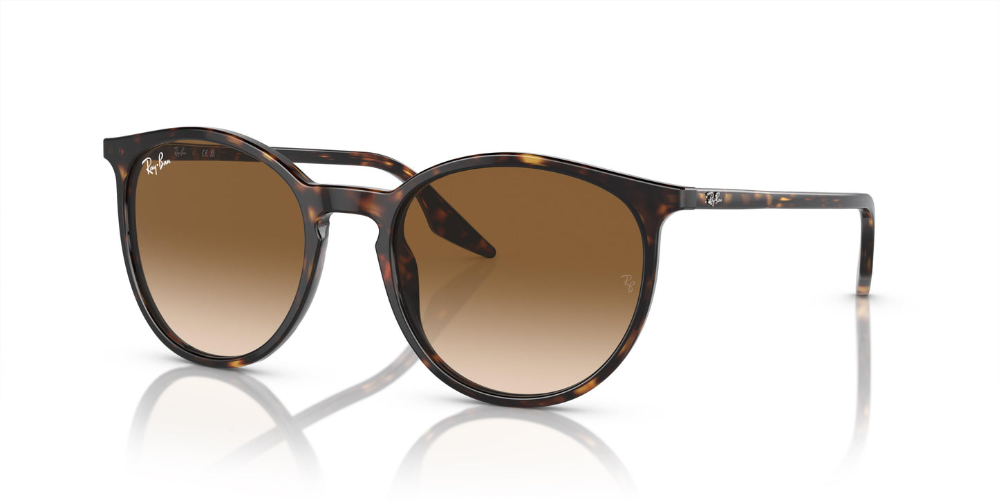 Ray-Ban RB2204 902/51 54