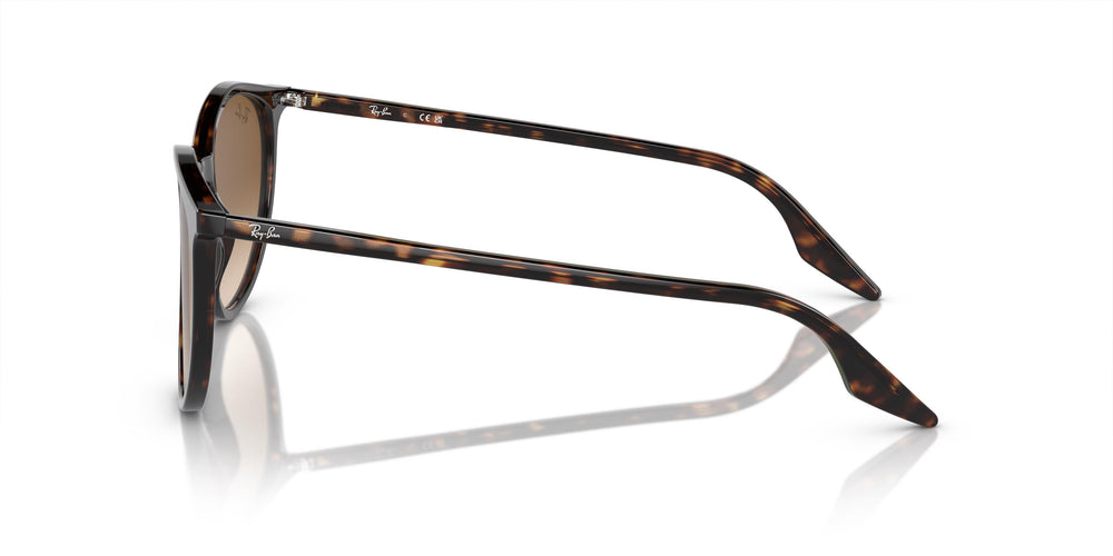 Ray-Ban RB2204 902/51 54