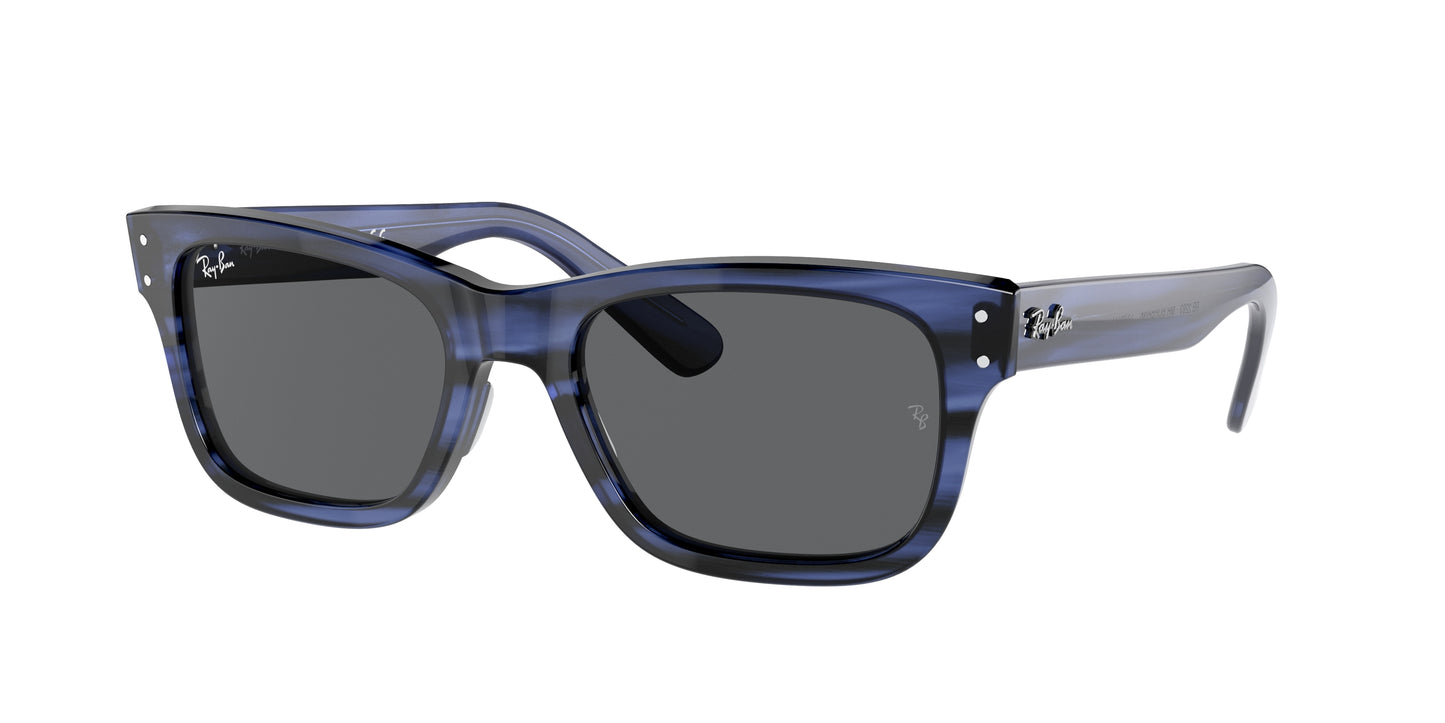 Ray-Ban RB2283 MR BURBANK  1339B1 55