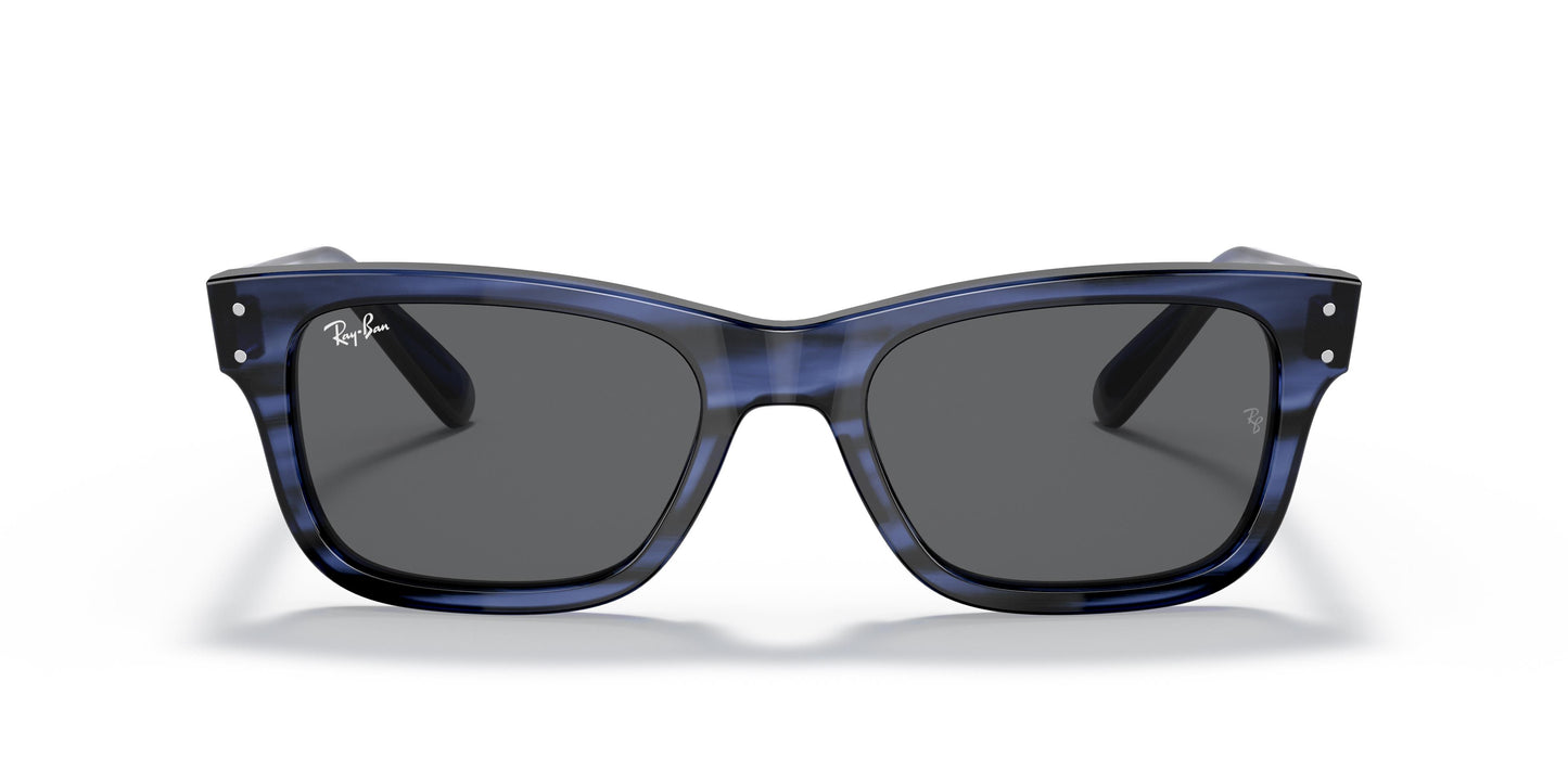 Ray-Ban RB2283 MR BURBANK  1339B1 55