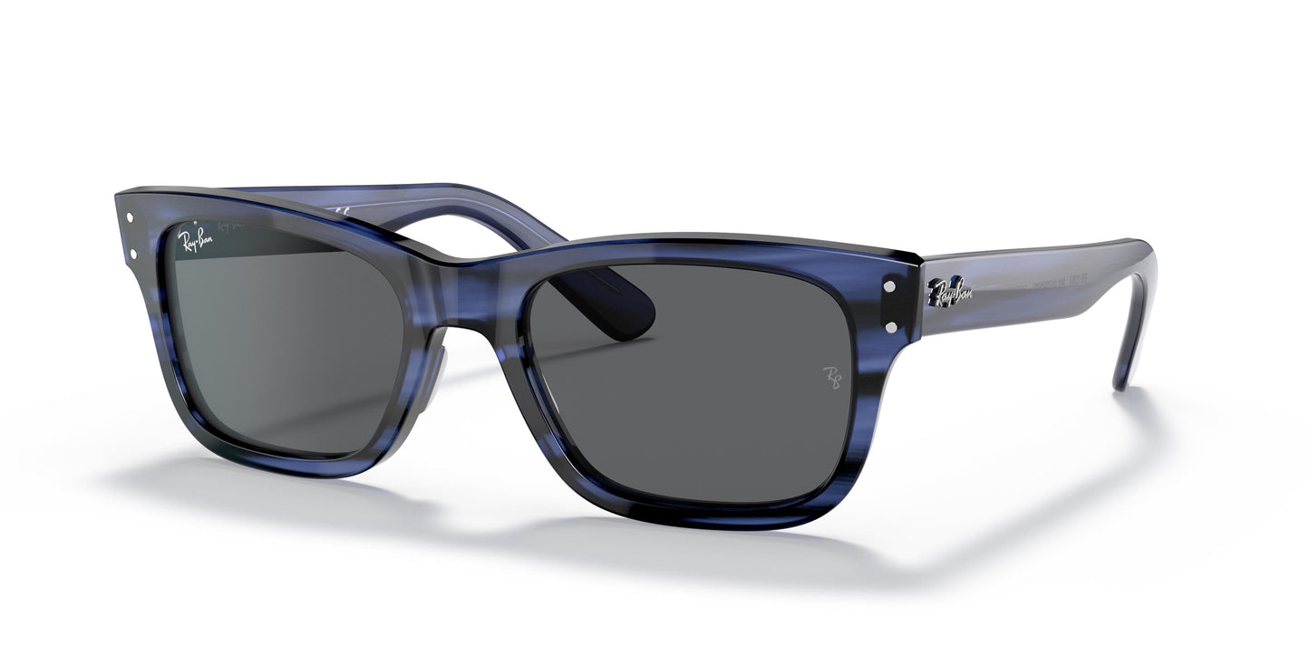 Ray-Ban RB2283 MR BURBANK  1339B1 55