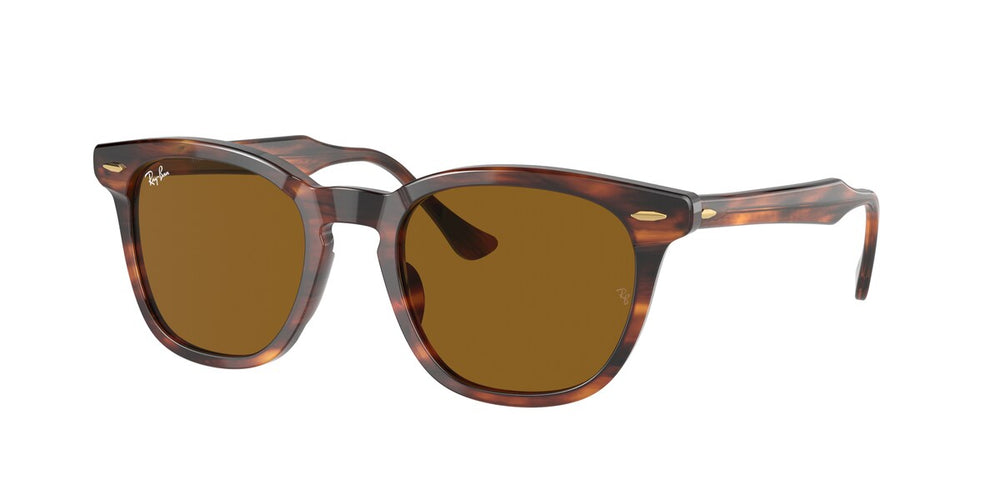 Ray-Ban RB2298 HAWKEYE 954/33 52