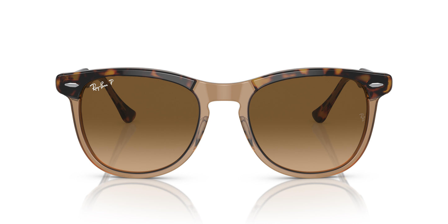 Ray-Ban RB2398 EAGLEEYE 1292M2 56