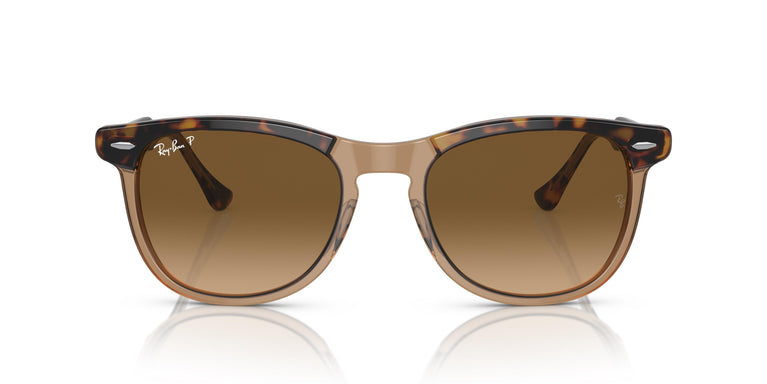 Ray-Ban RB2398 EAGLEEYE 1292M2 56