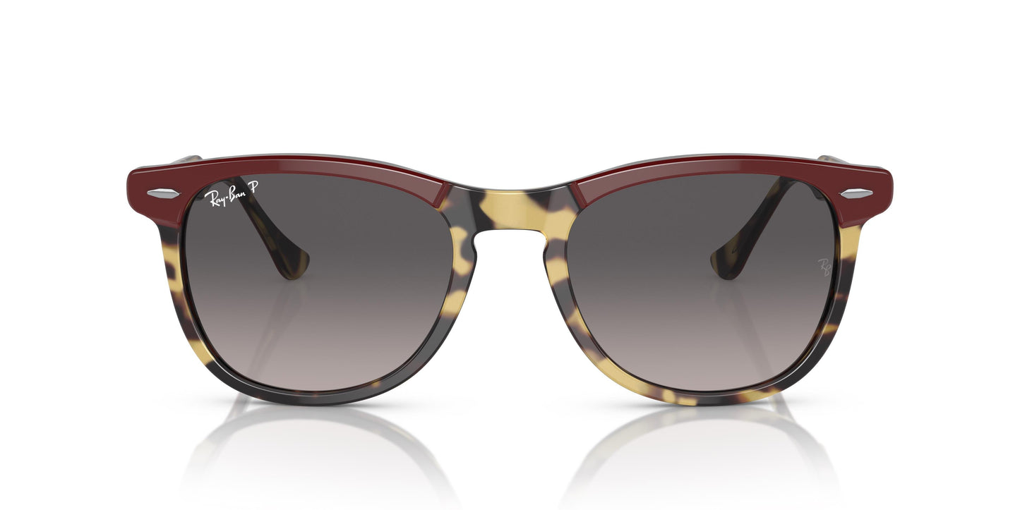 Ray-Ban RB2398 EAGLEEYE 1377M3 56