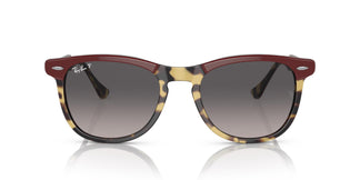 Ray-Ban RB2398 EAGLEEYE 1377M3 56