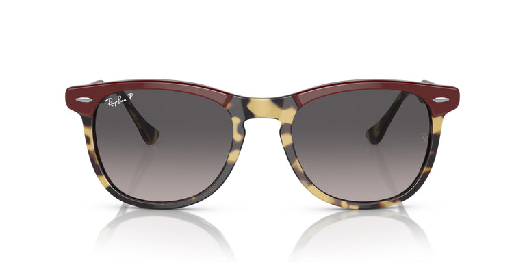 Ray-Ban RB2398 EAGLEEYE 1377M3 56