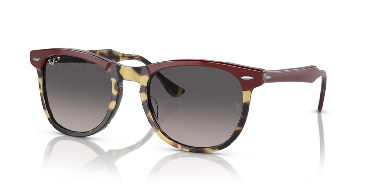 Ray-Ban RB2398 EAGLEEYE 1377M3 56