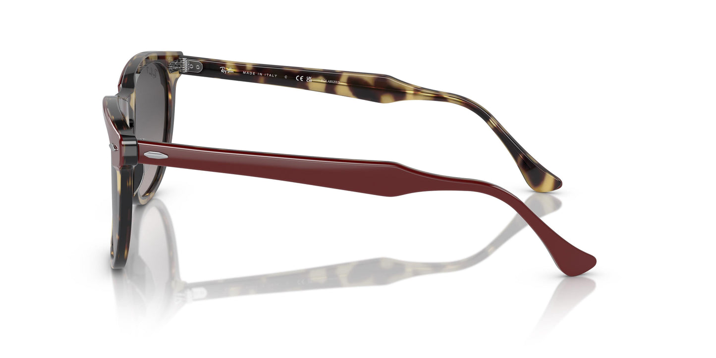 Ray-Ban RB2398 EAGLEEYE 1377M3 56