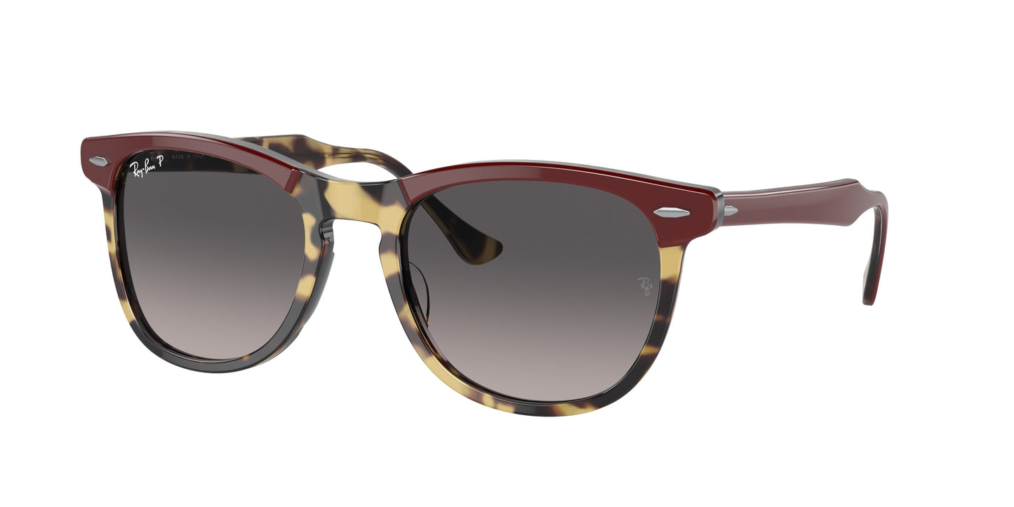 Ray-Ban RB2398 EAGLEEYE 1377M3 56