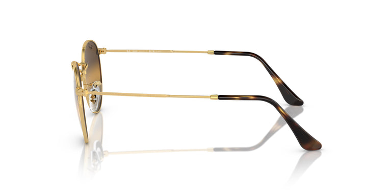 Ray-Ban RB3447 ROUND METAL 001/G5 53