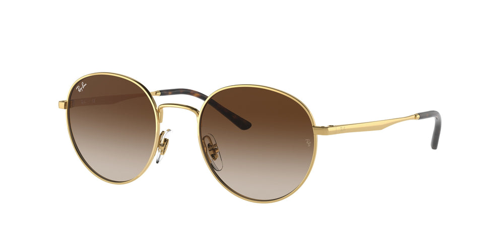 Ray-Ban RB3681 001 13 50