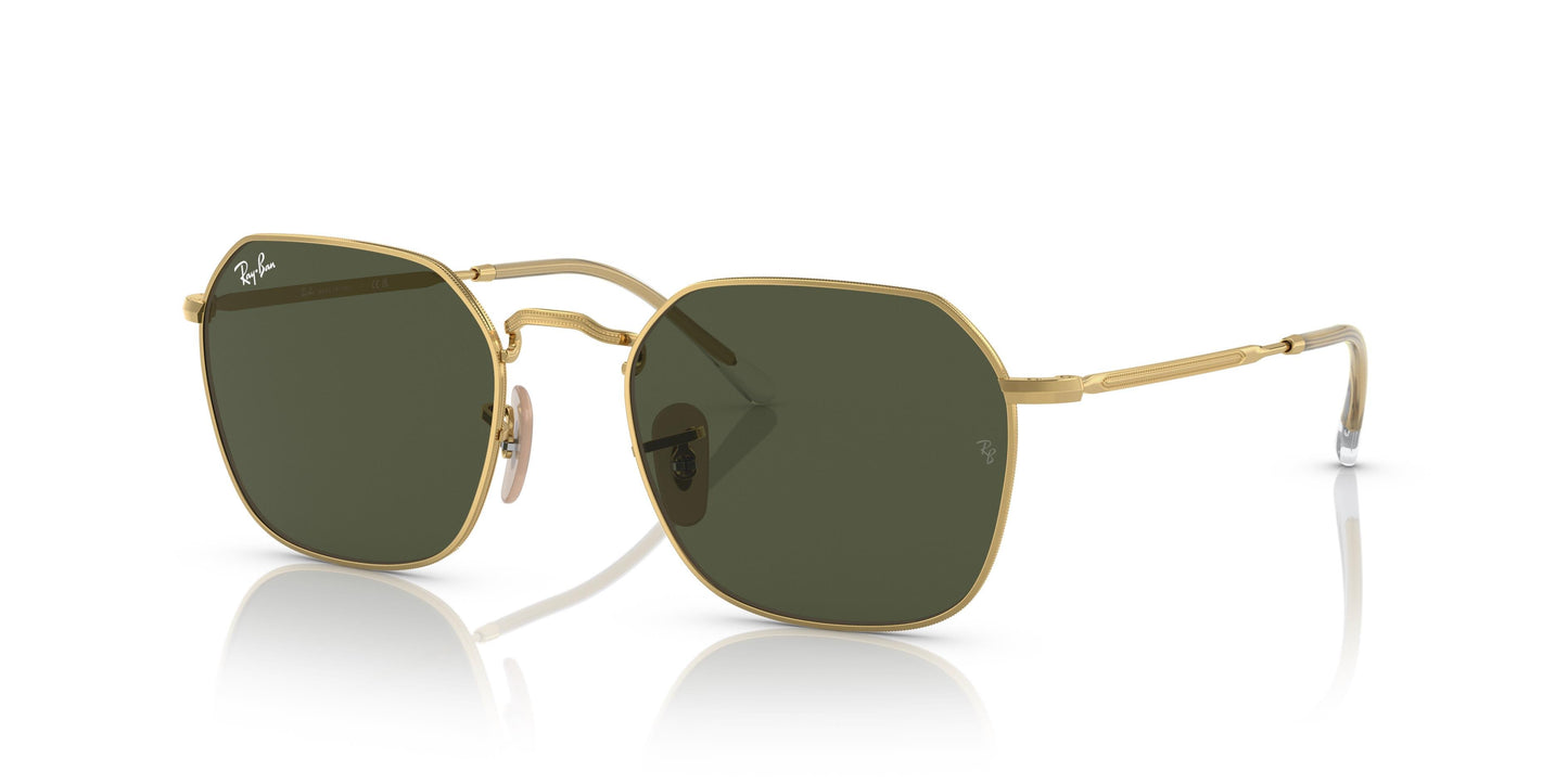Ray-Ban RB3694 JIM 001/31 55