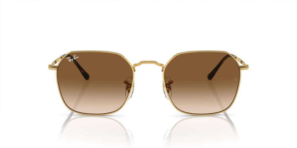 Ray-Ban RB3694 JIM 001/51 53