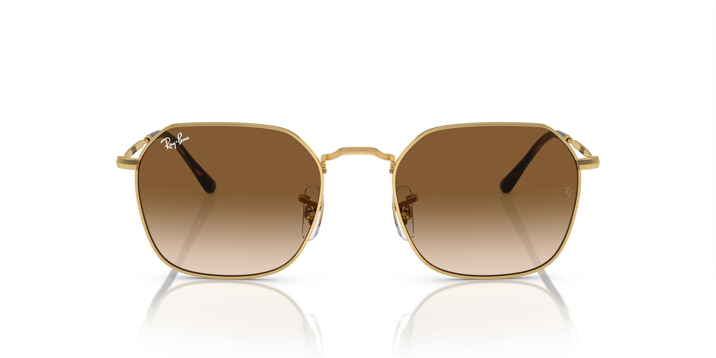 Ray-Ban RB3694 JIM 001/51 53