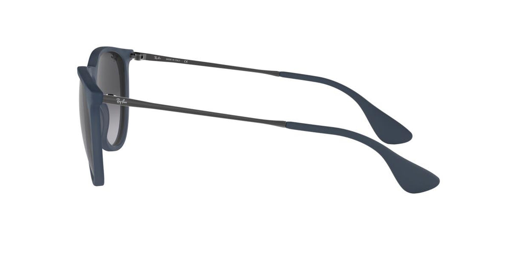 Ray-Ban RB4171 ERIKA 60028G 54