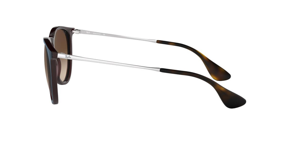 Ray-Ban RB4171 ERIKA 631513 54