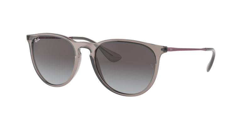 Ray-Ban RB4171 ERIKA 65138G 54