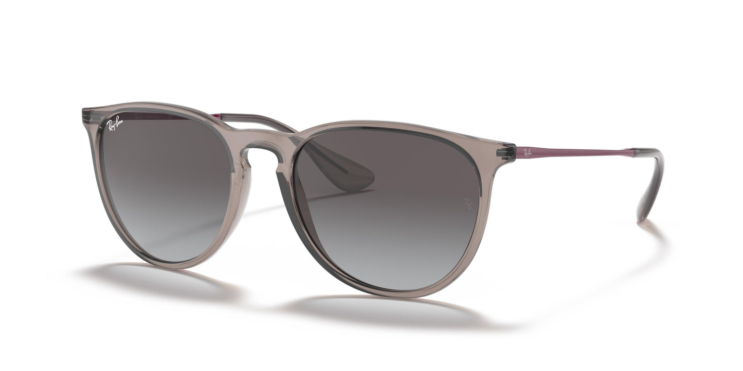 Ray-Ban RB4171 ERIKA 65138G 54