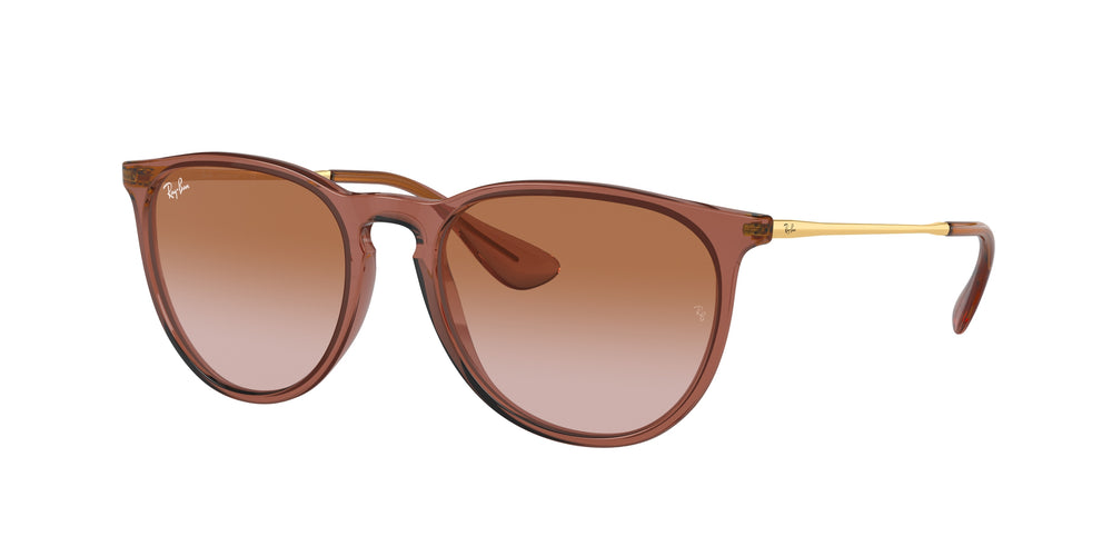Ray-Ban RB4171 ERIKA  659013 54
