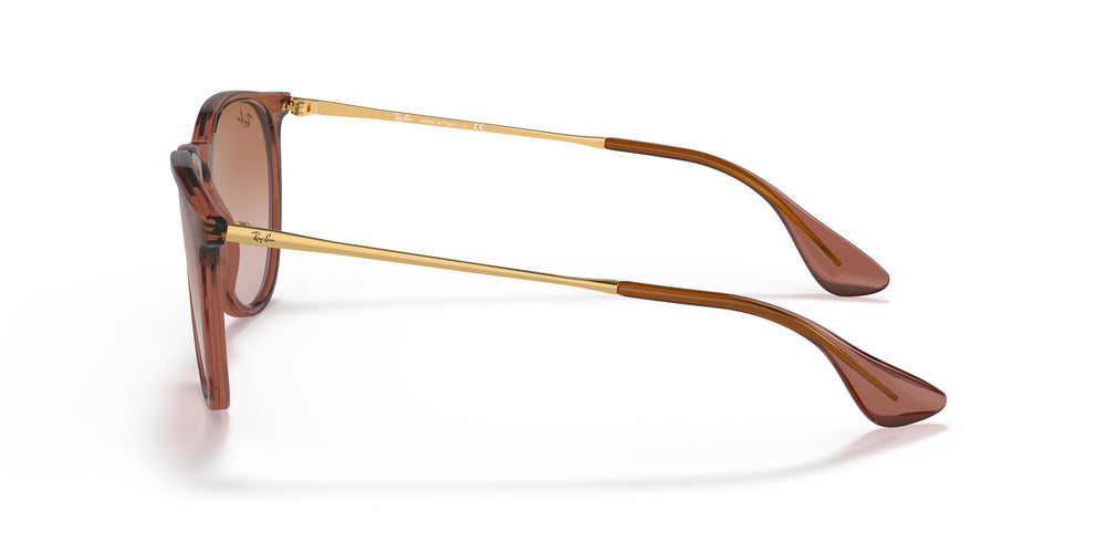 Ray-Ban RB4171 ERIKA  659013 54