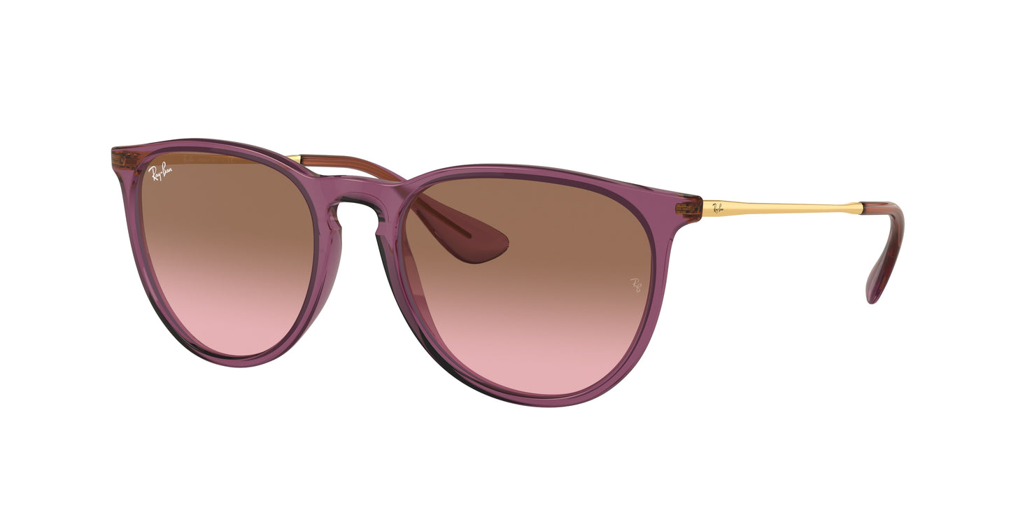Ray-Ban RB4171 ERIKA  659114 54