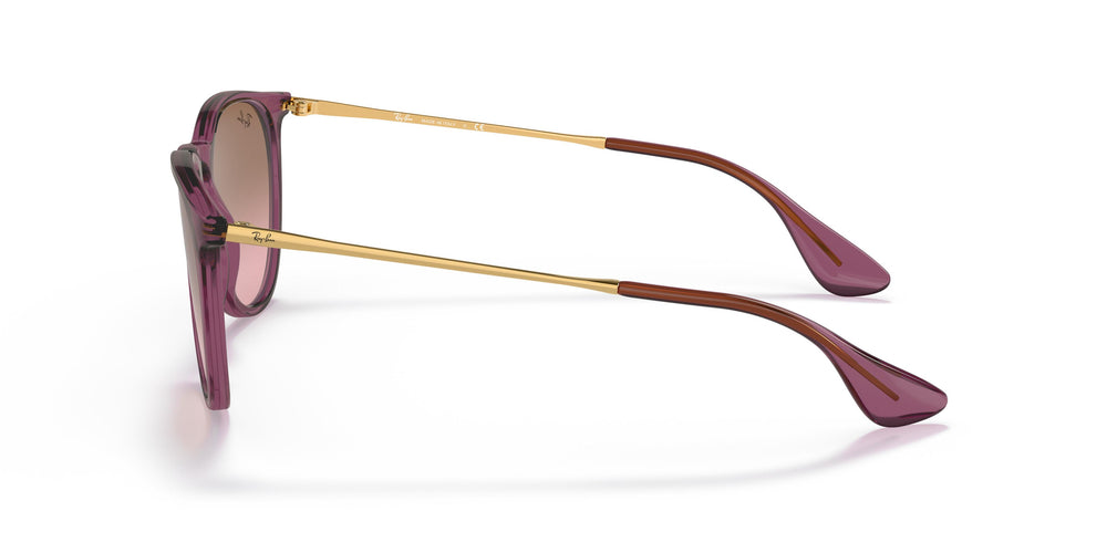 Ray-Ban RB4171 ERIKA  659114 54