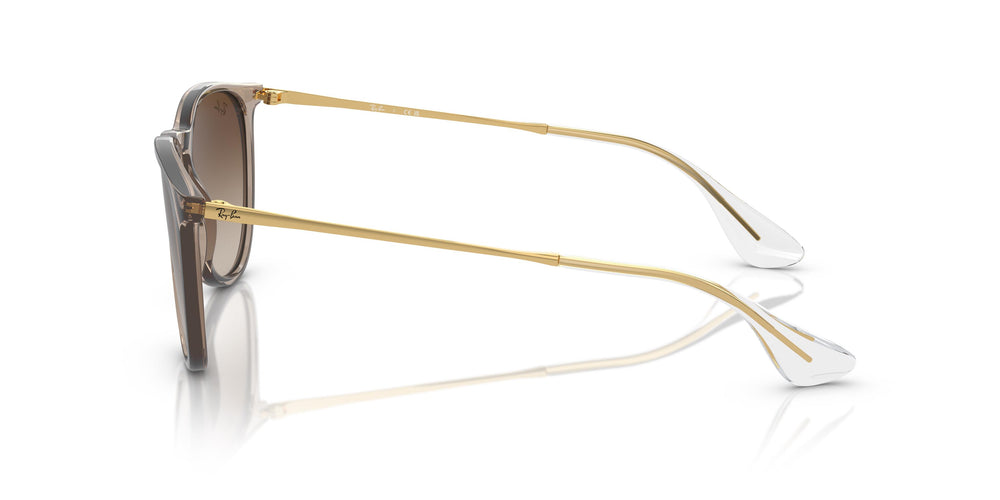 Ray-Ban RB4171 ERIKA 674413 54