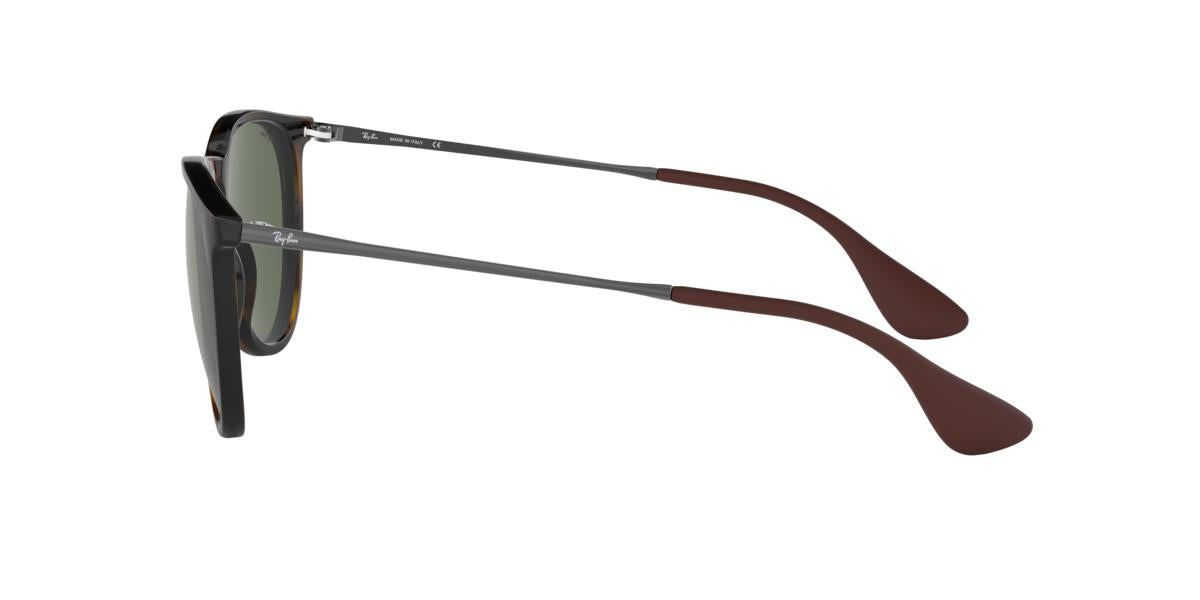 Ray-Ban RB4171 ERIKA 710/71 54