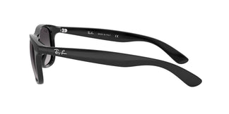 Ray-Ban RB4202 ANDY 601/8G 55