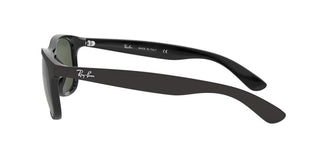 Ray-Ban RB4202 ANDY 606971 55