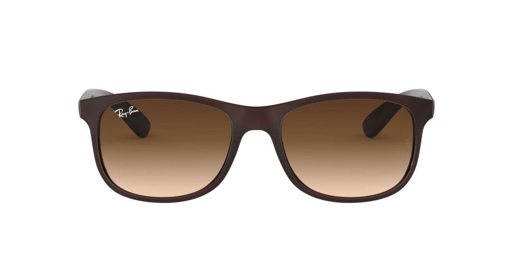 Ray-Ban RB4202 ANDY - 607313 - Matte Brown On Brown - 55 mm