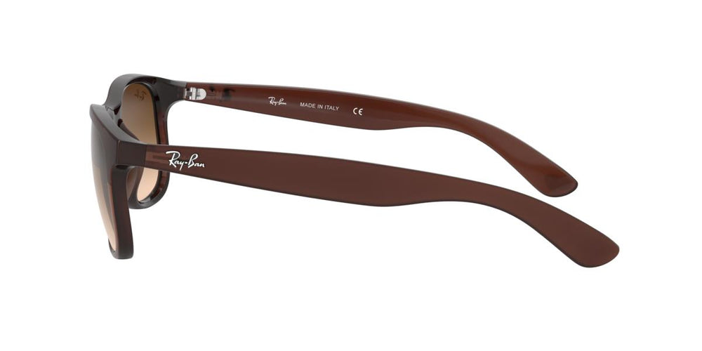 Ray-Ban RB4202 ANDY 607313 55