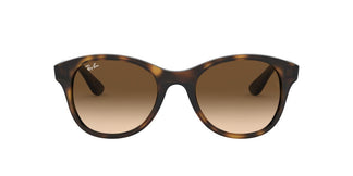 Ray-Ban RB4203 710/13 51