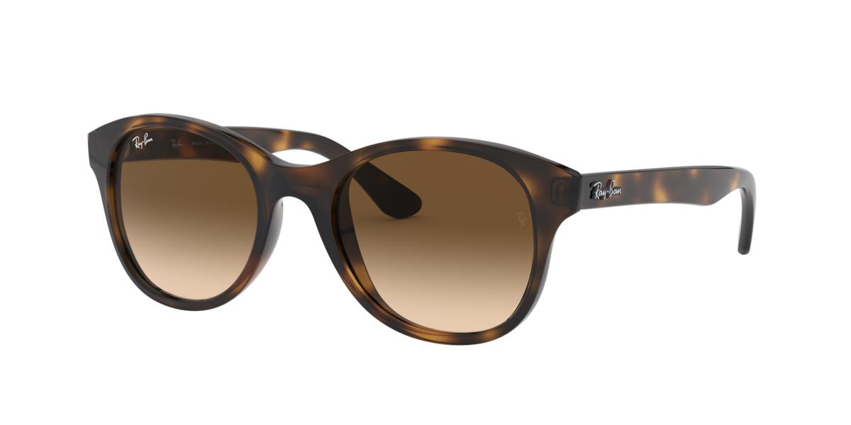 Ray-Ban RB4203 710/13 51