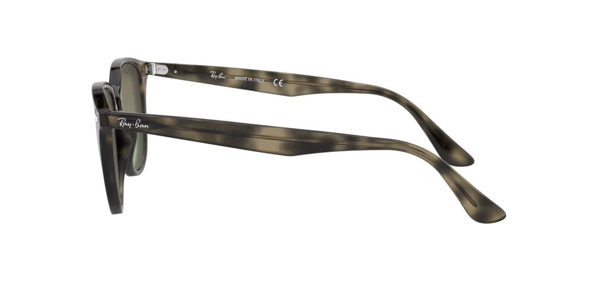Ray-Ban RB4259 731/E8 51