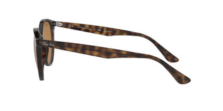 Ray-Ban RB4305 710/83 53