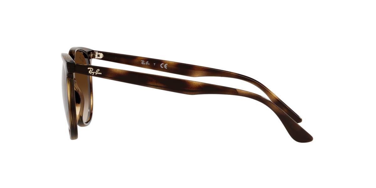 Ray-Ban RB4378 710/13 54