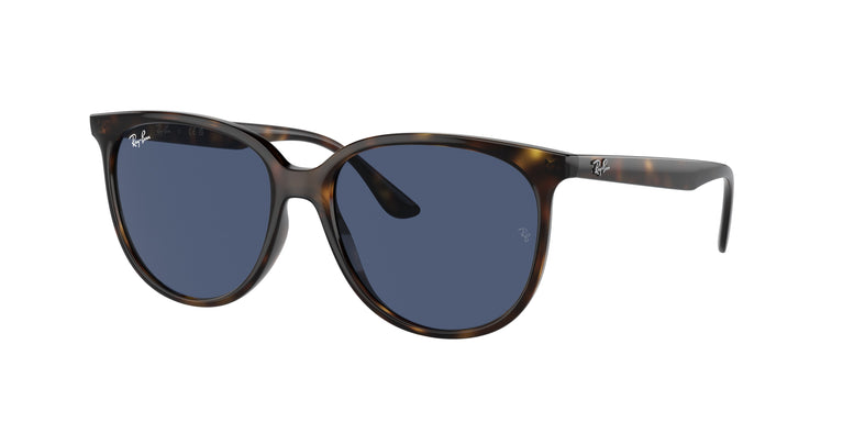 Ray-Ban RB4378 710/80 54