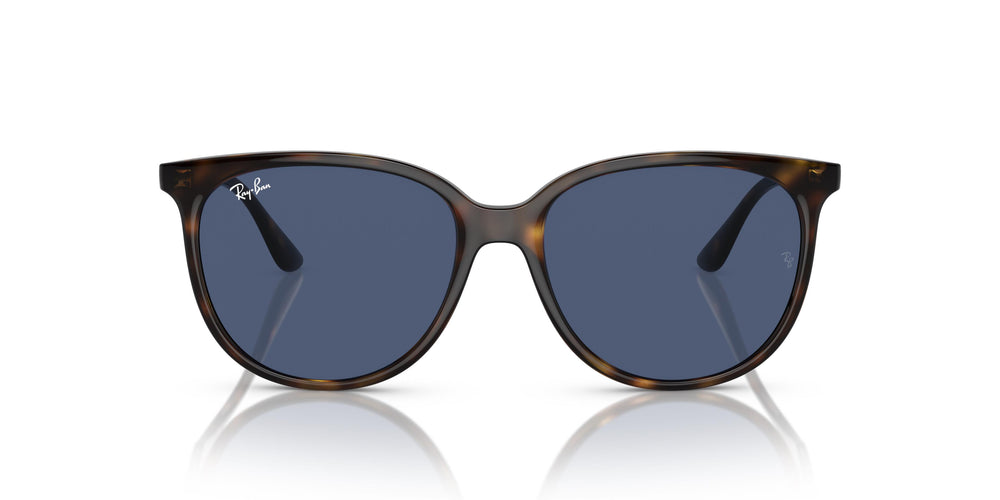 Ray-Ban RB4378 710/80 54
