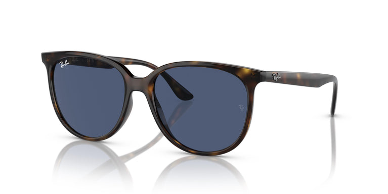 Ray-Ban RB4378 710/80 54
