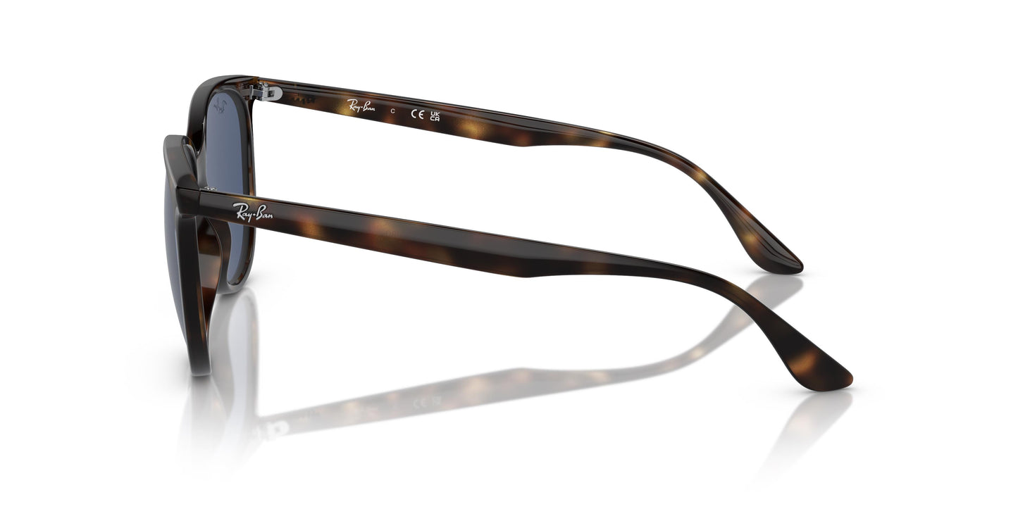 Ray-Ban RB4378 710/80 54