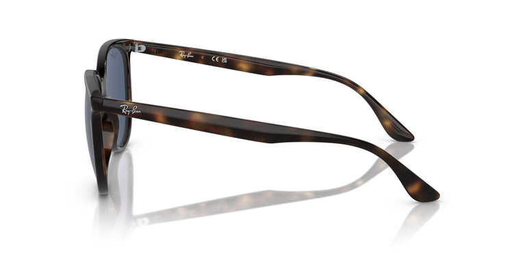 Ray-Ban RB4378 710/80 54