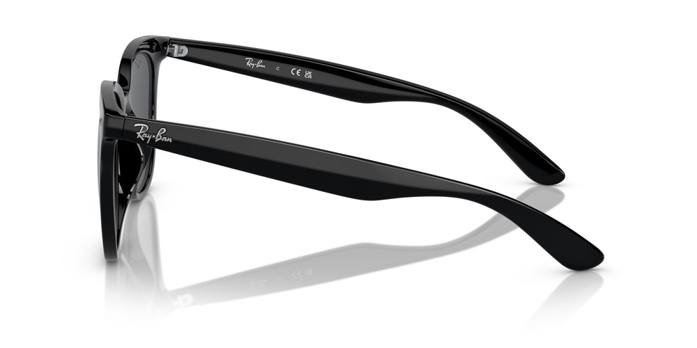 Ray-Ban RB4379D 601/87 55