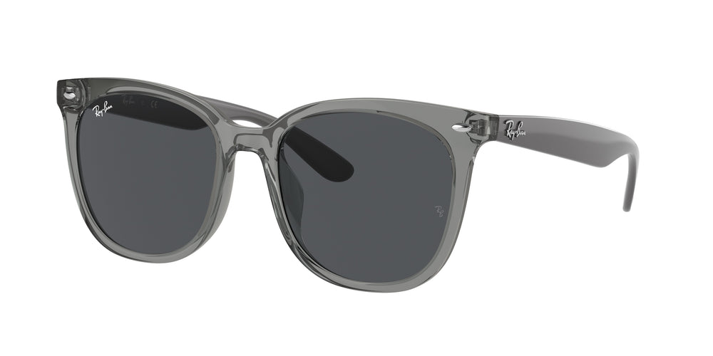 Ray-Ban RB4379D 659987 55