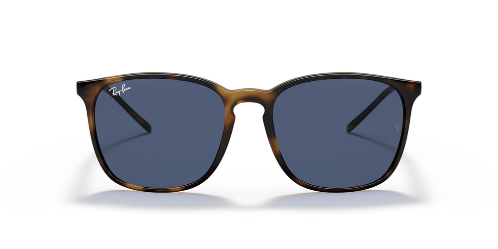 Ray-Ban RB4387 710/80 56
