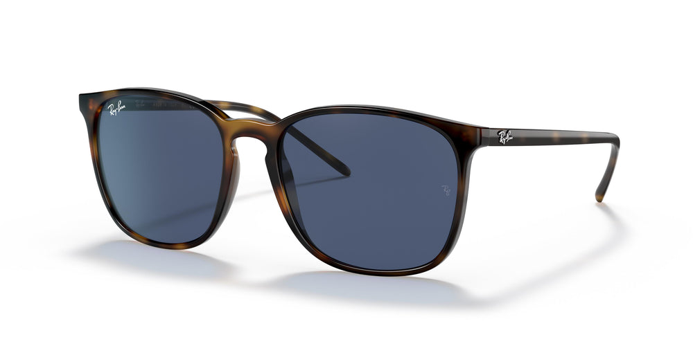 Ray-Ban RB4387 710/80 56