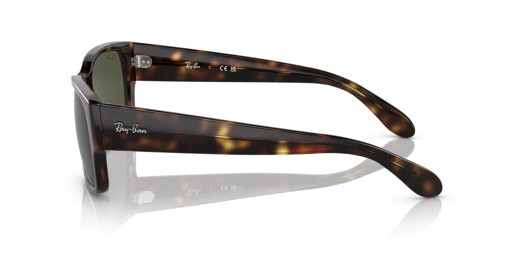 Ray-Ban RB4388 710/31 55